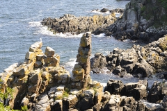 Helligdomsklipperne_Destination-Bornholm