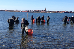 Enjoylimfjorden