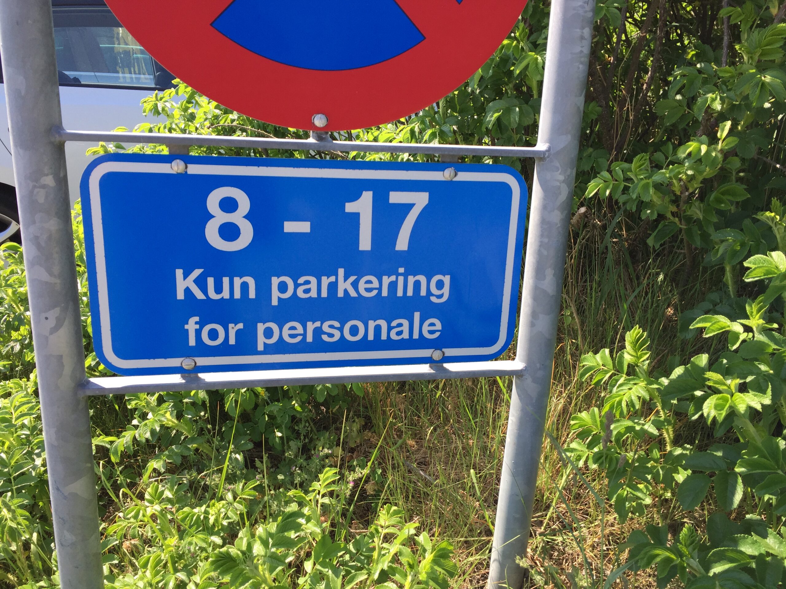 Was Kostet Parken In Dänemark Regular