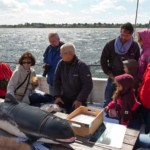 Aventura på Hvaltur - die Avetura auf Waltour