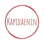 KAPIDAENIN - der Dänemarkblog